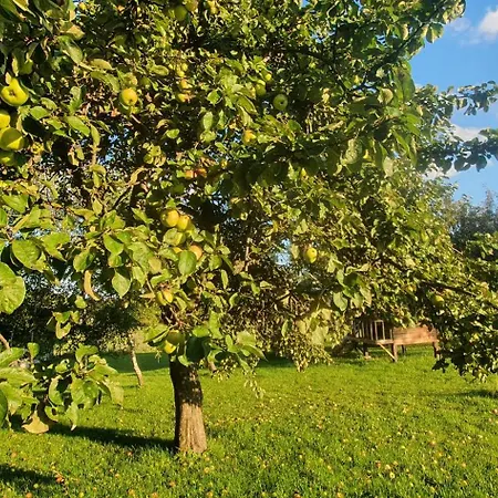Folwark Pod Bukowcem Hotel cápsula Podzamcze (Zawiercie)